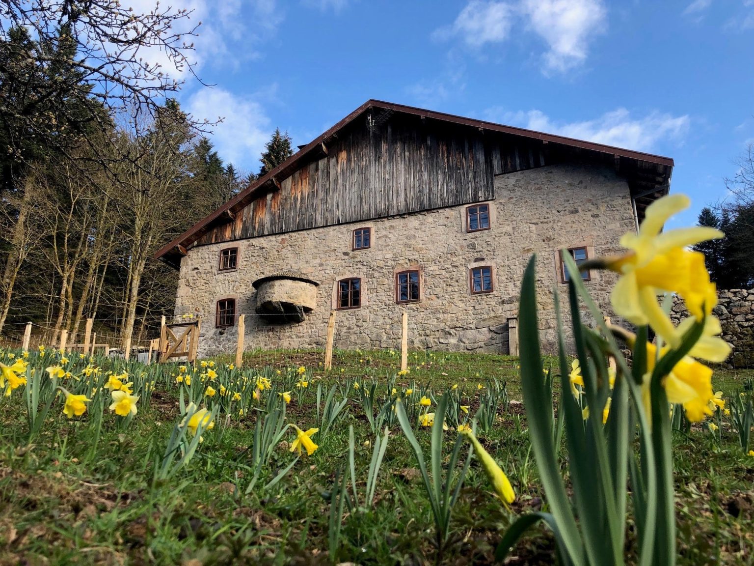FERME VOSGIENNE JEAN DES HOUX