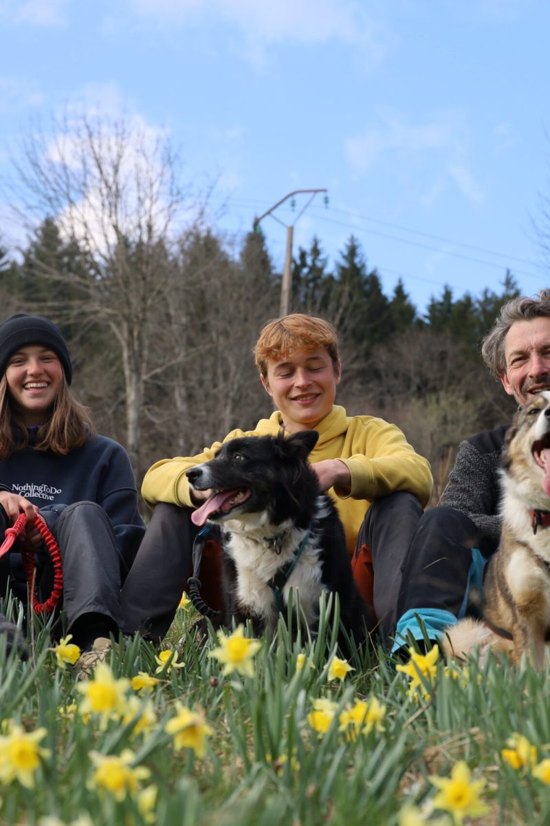 cani balade dans les vosges